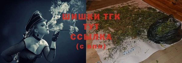 крисы Богородск