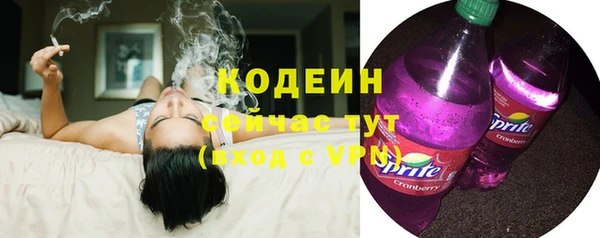 крисы Богородицк