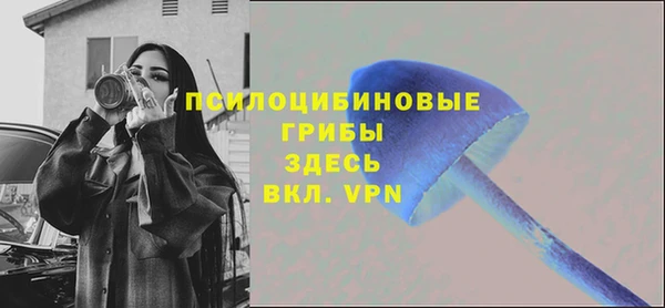 Альфа ПВП Богданович