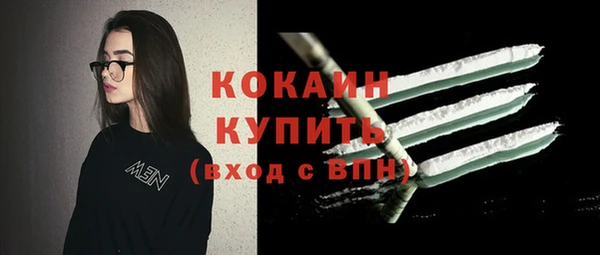 крисы Богородицк
