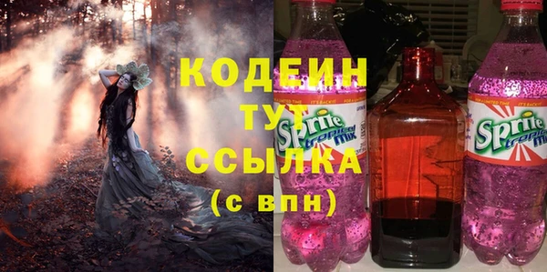 крисы Богородицк