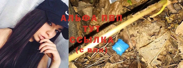 крисы Богородицк