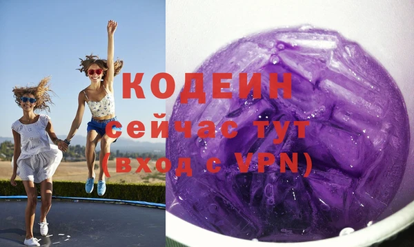крисы Богородицк